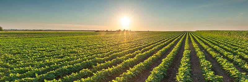 Agrilytics Zimbabwe banner