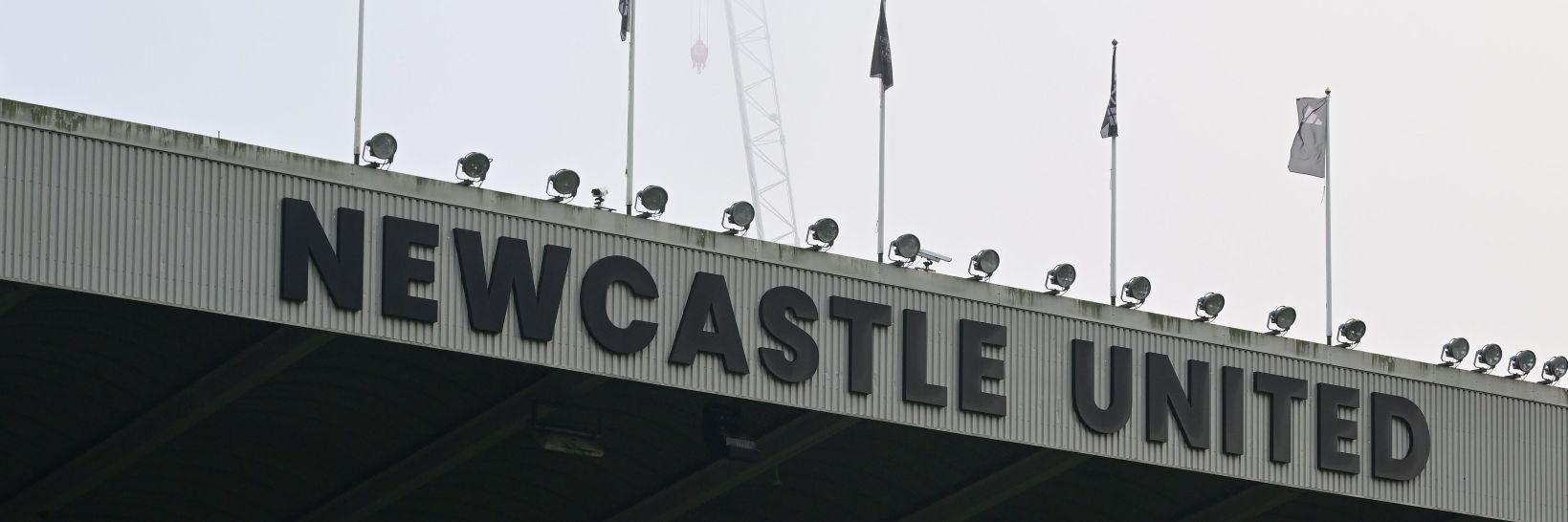 rangga banner