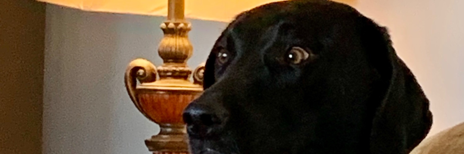 silent_sts's profile banner image
