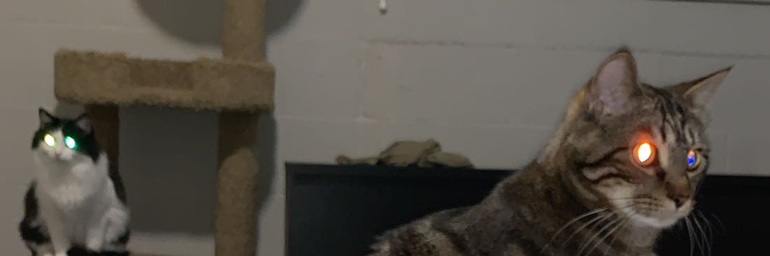 itadakms's profile banner image