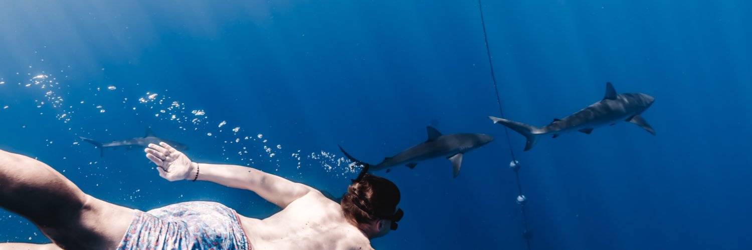 BrooksGarretson's profile banner image