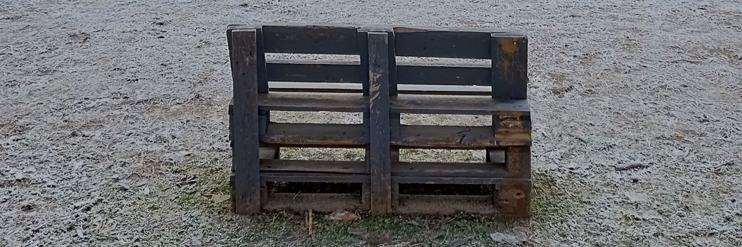 🎬📚🦂@kinowords.bsky.social banner