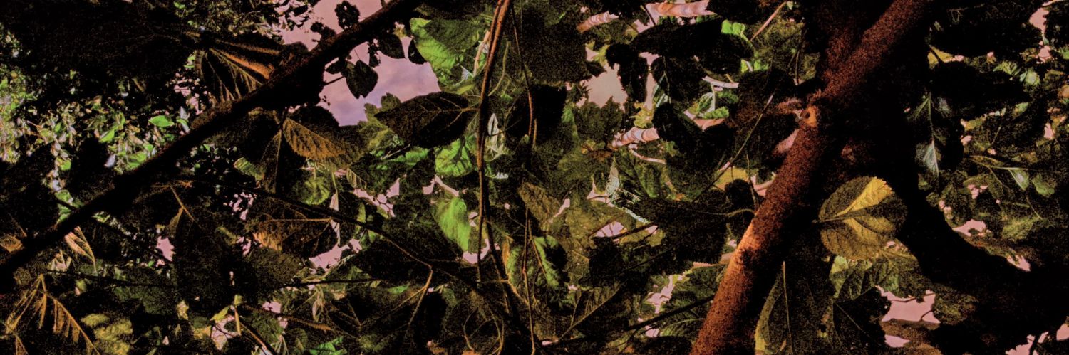 szo's profile banner image