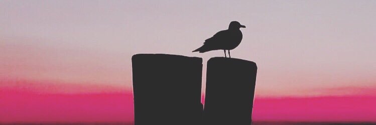 XxEmirX's profile banner image