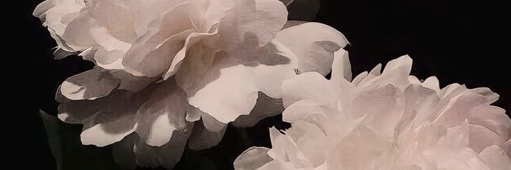 𝐃𝐨𝐲𝐞𝐨𝐥, 백. #OnceUponUs banner