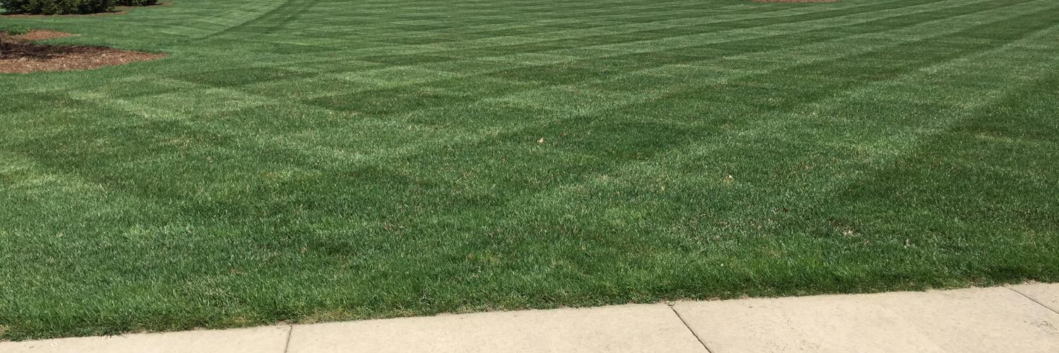 Andrew Pfiester banner