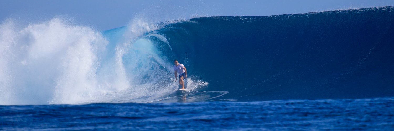 Michael Frazis banner