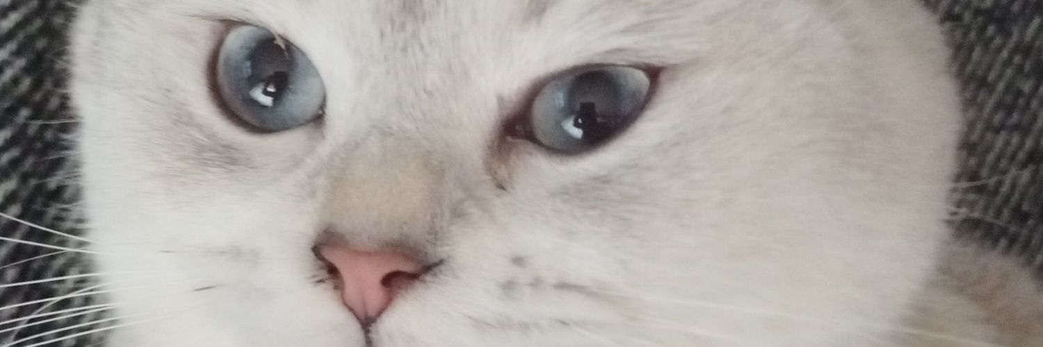 hamdi1979_'s profile banner image