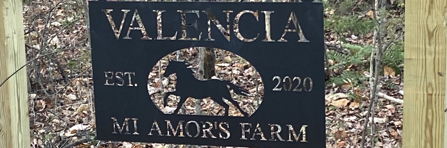 SharonKValencia's profile banner image