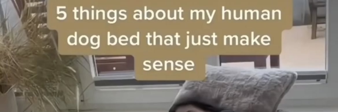 kellehfish's profile banner image
