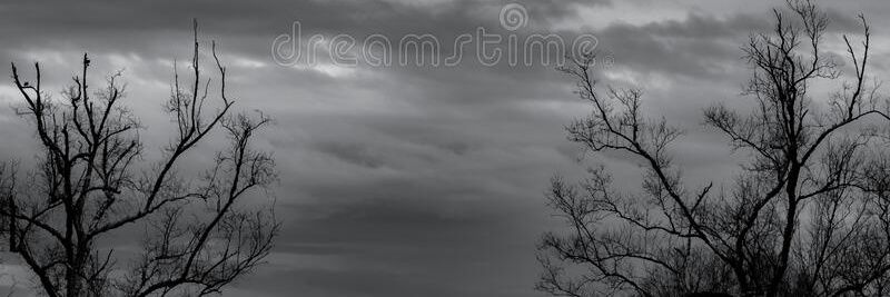 nicolasrch_'s profile banner image