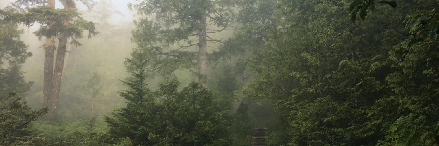 Melanie Friedrichs banner