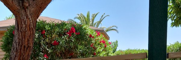 RouslanT Profile Banner