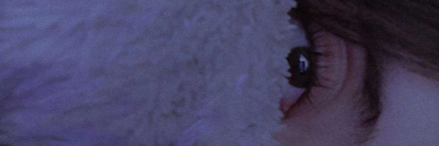 Dani banner