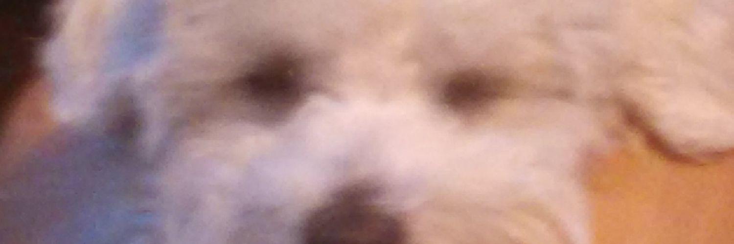 efcmaia's profile banner image