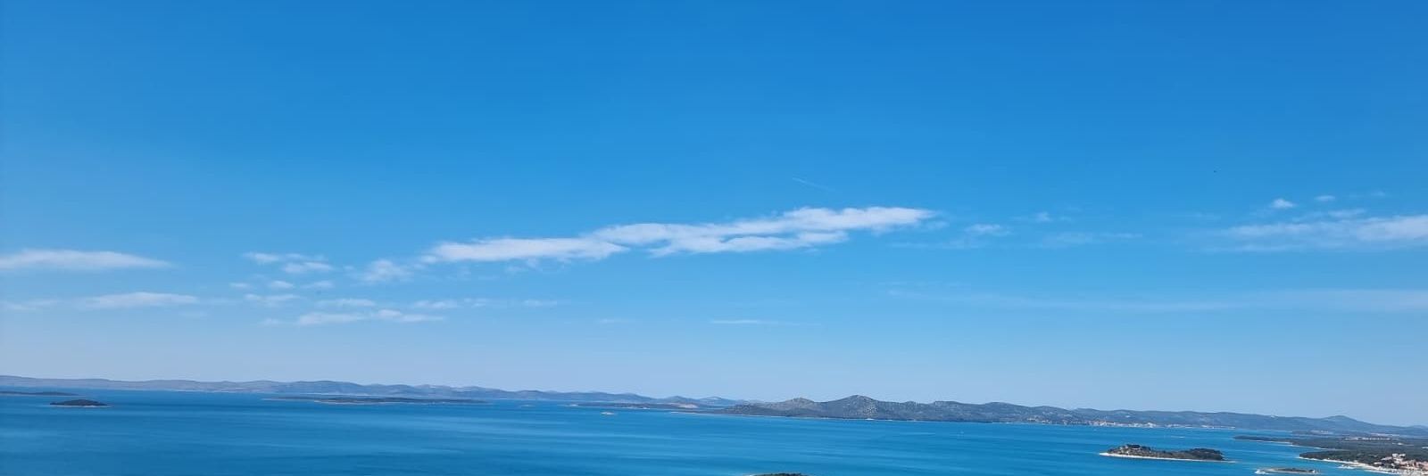 Ⓜ️arti🦋🐠🐦 banner