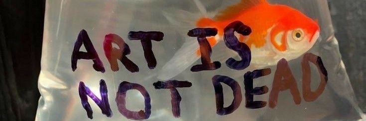 maria ⭑ banner