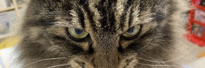 imatom3's profile banner image