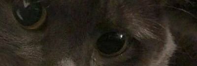wands lindu banner