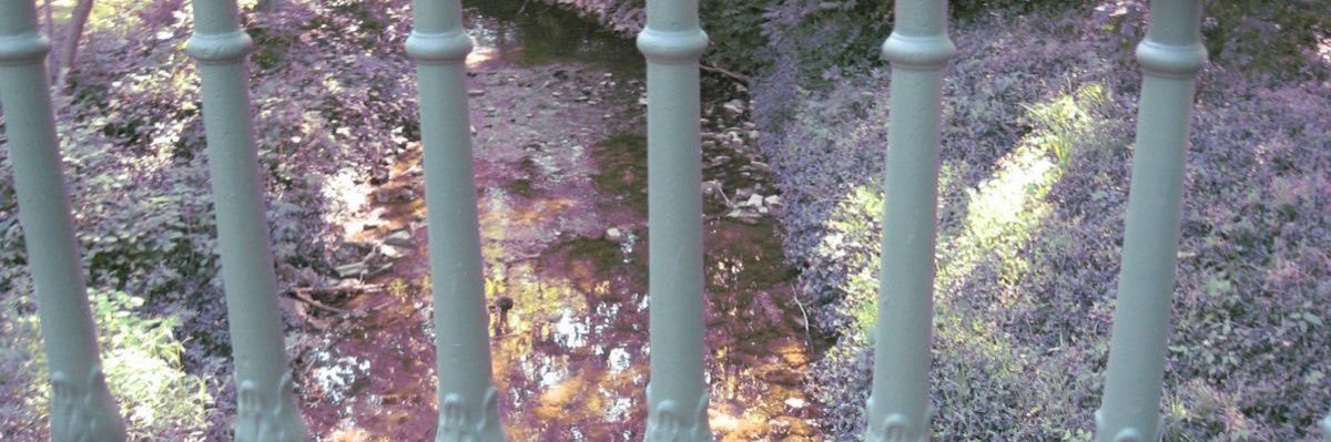 ⊹°.* ʚ₍ᐢ - ෆ - ᐢ₎ɞ *.°⊹˙ banner