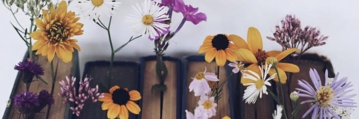 𝕊𝕙𝕒𝕟 banner