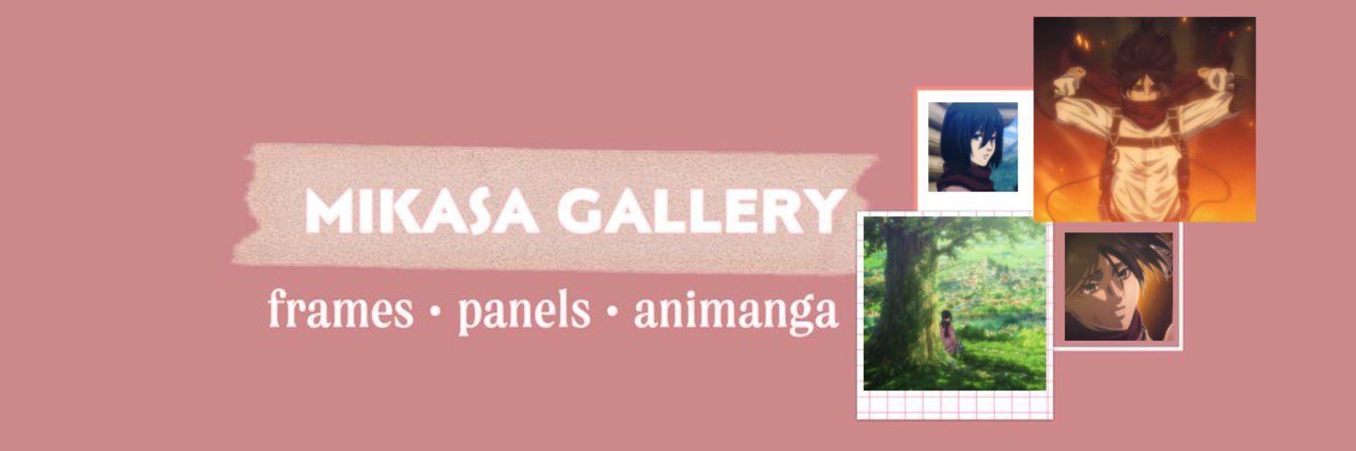 mikasa gallery's banner