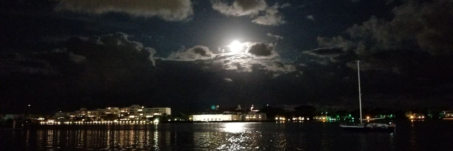 nsaramago's profile banner image