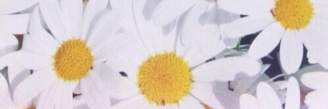 cahkrucinsky's profile banner image