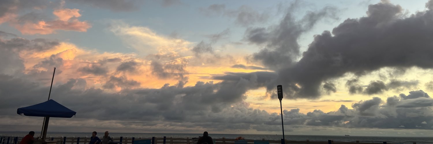 Camila Villegas Mosquera banner