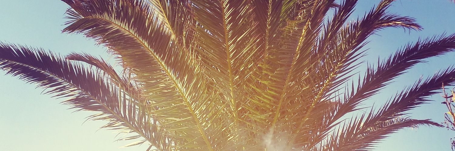 kap3li's profile banner image