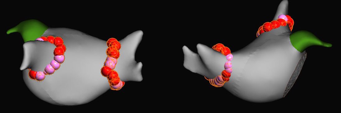 Jordan Hemmen banner