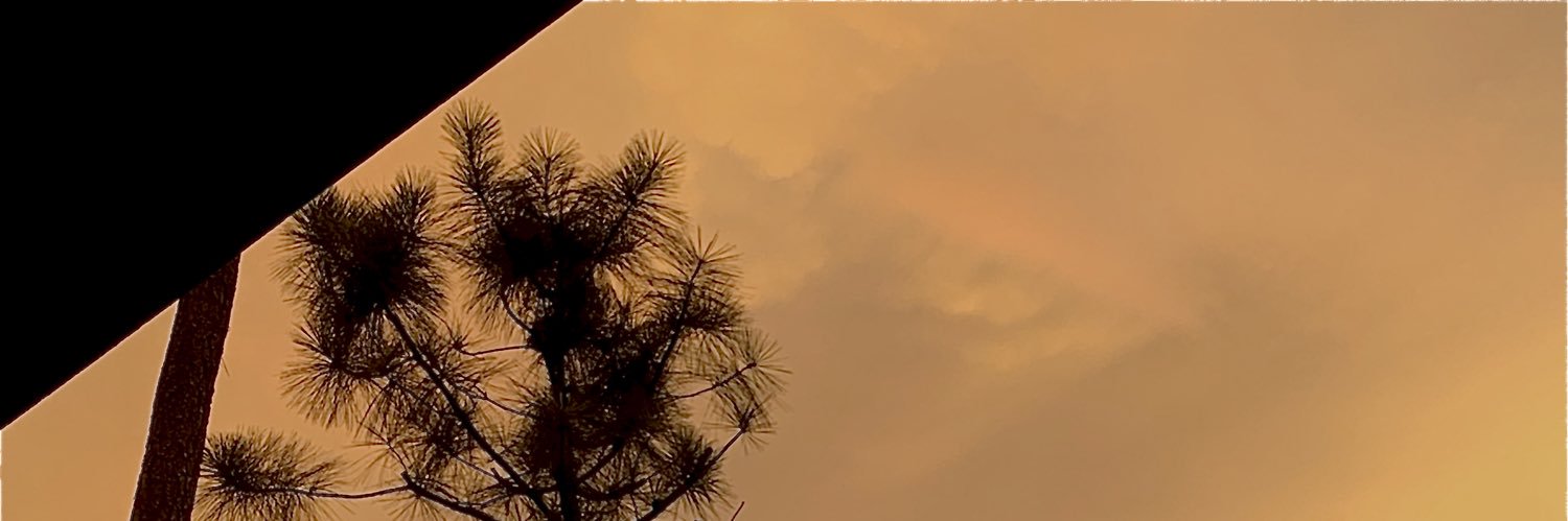 Kieu Thanh Son banner