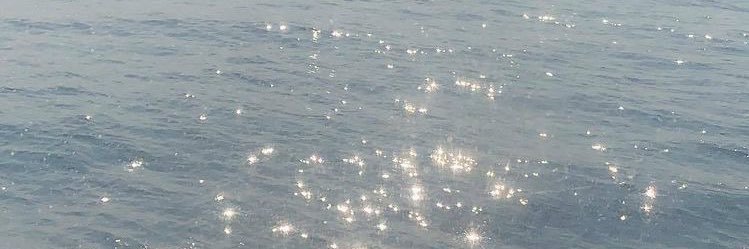 swanviolets's profile banner image