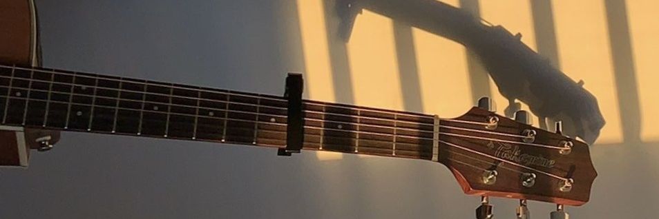 Alexia Freire banner