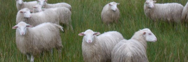 JorgBrinkmann Profile Banner