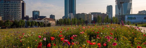 Fibia Profile Banner