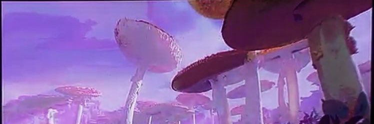 cozytunes's profile banner image