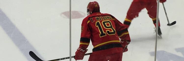 wilding19's profile banner image