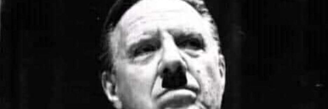 🏴‍☠️Jester Fox🏴‍☠️ banner