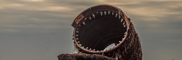 RianCFFWhitton Profile Banner