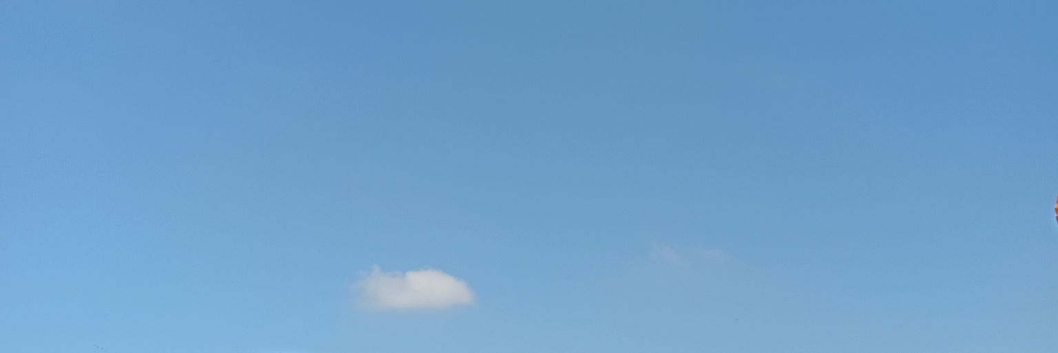 Niss banner