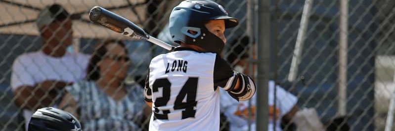 Raymond Long banner