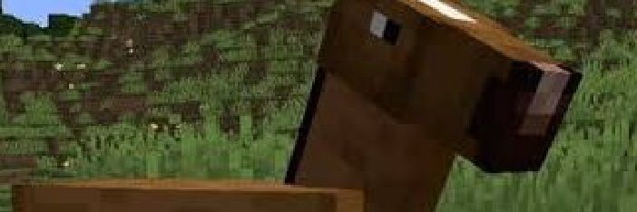 Andrewww 🇧🇷 banner