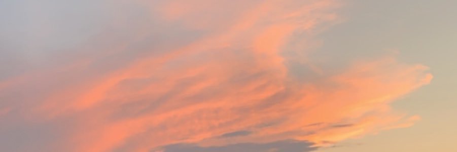 haileyknobloch's profile banner image