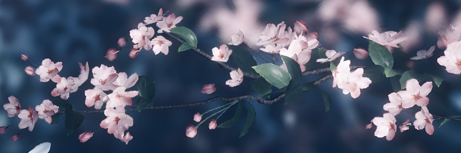 taschi's banner