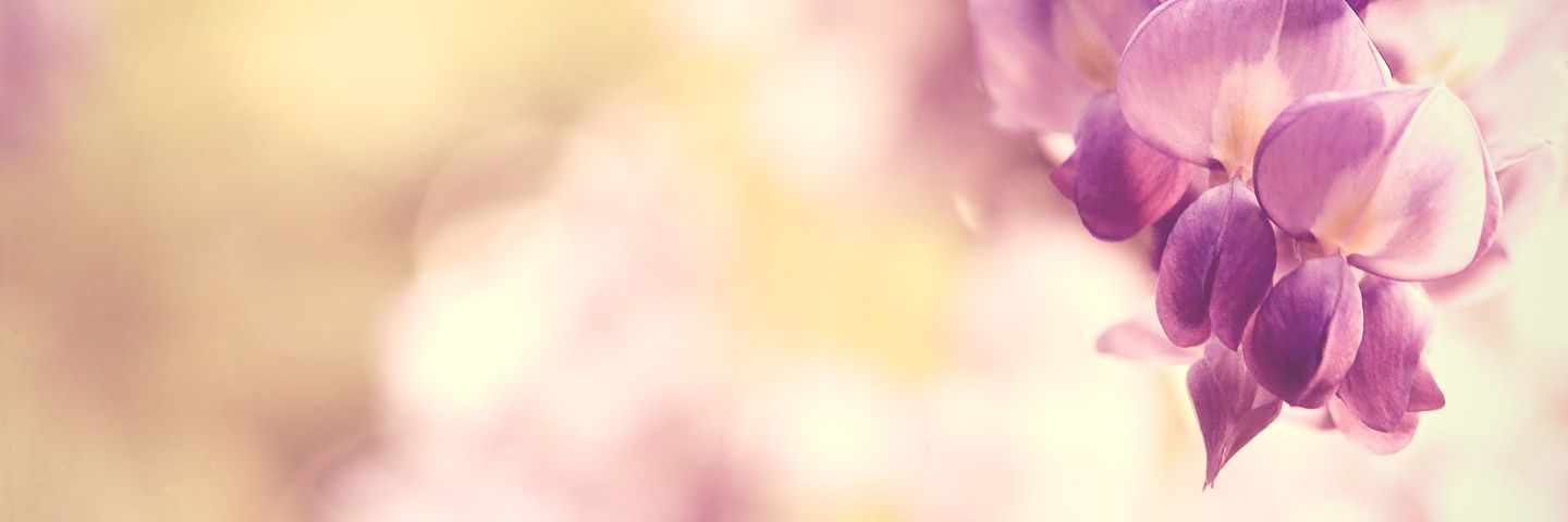JunKoooo0906's profile banner image