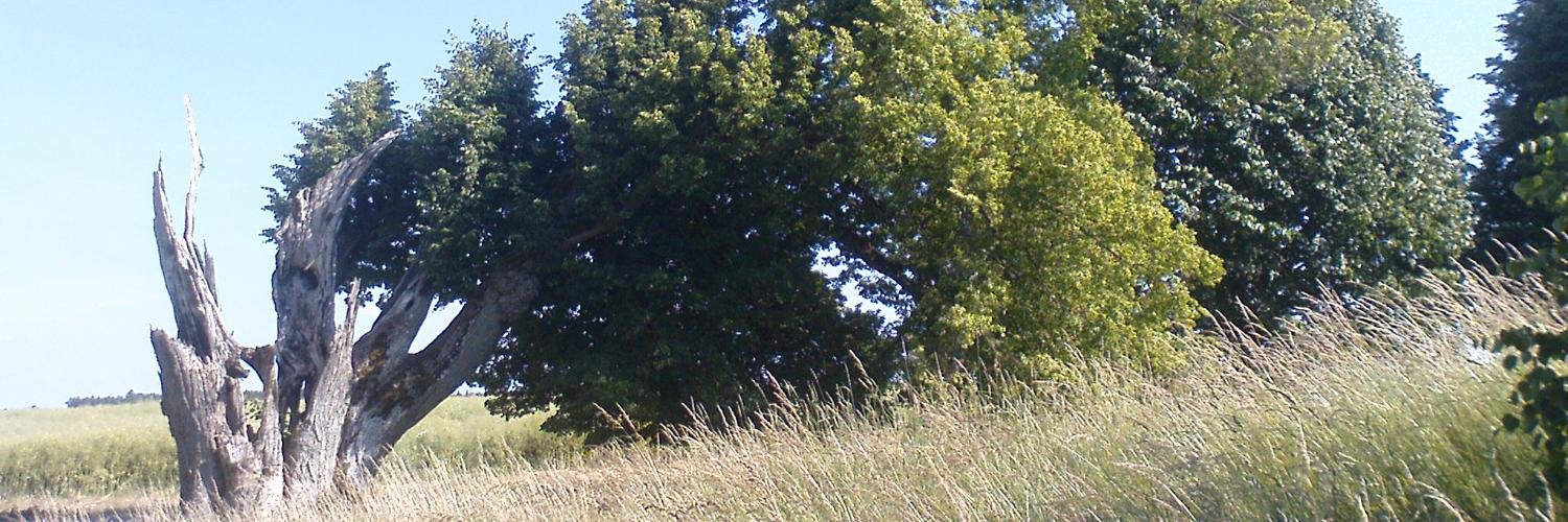 MarkusDiemer's profile banner image