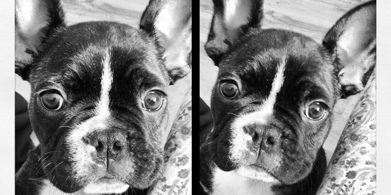 CaroPaolo's profile banner image