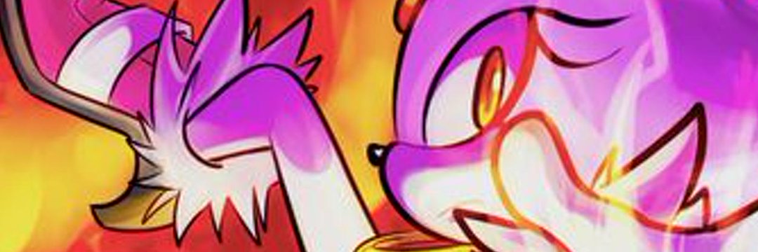 blaze the cat banner