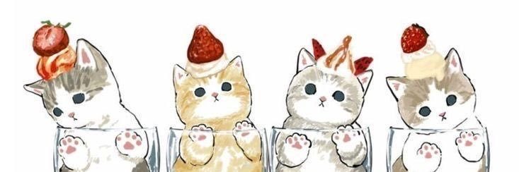 bebe(｡•̀ᴗ-)✧ banner